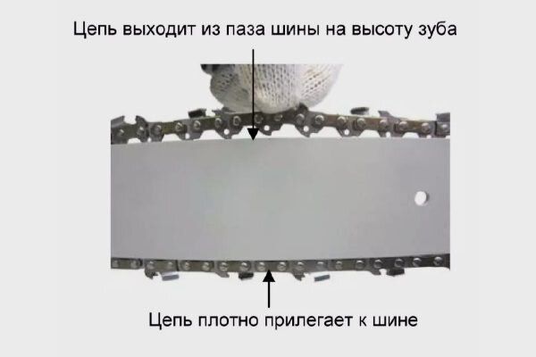 Как правильно использовать бензопилу: советы для настоящих садоводов