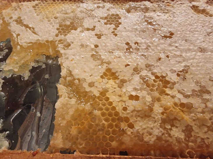 Похудеть во сне: ночной коктейль, о котором говорят эксперты