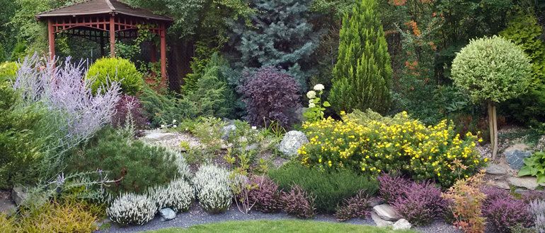 10 популярных ошибок, которые обрывают мечты начинающих садоводов