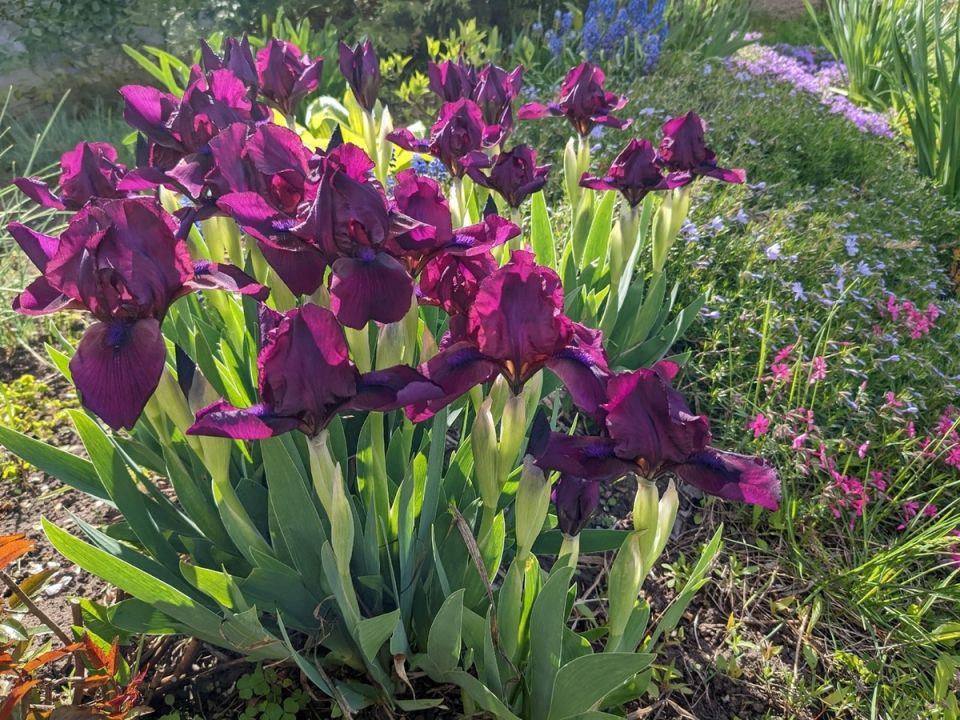 ����������� ����: ��� ���������� ����� ����������� ������ ��������� � 2025 ����