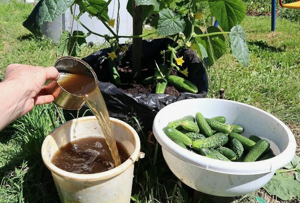 ��� �������� ����������� ������� � ������� ����������� ���������