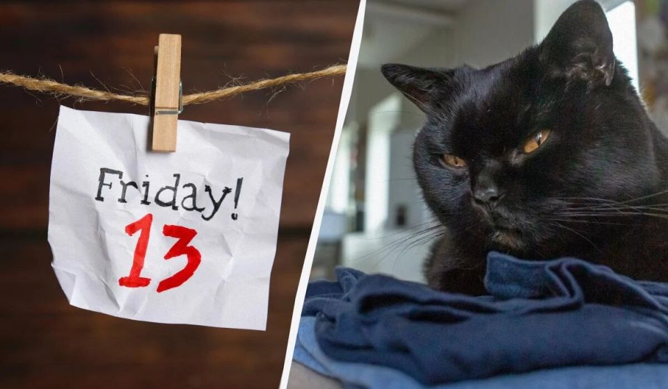 ��� �������� �������, 13-�: ������ ��� ����������� � ���� �������� ����