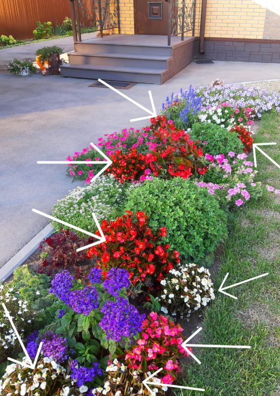 �������� ���: ��������, ������� ������ ���� � ������ ����� �� �����