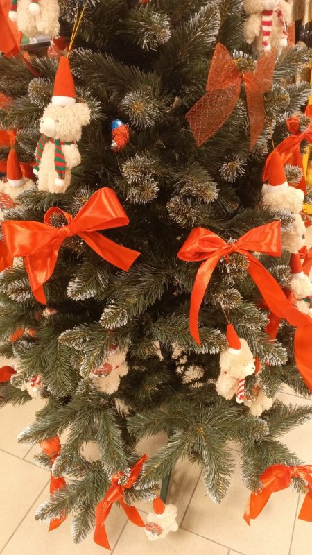 ������ � �������� � 2026 ����