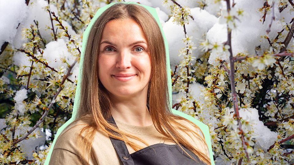 ����������� ���������� ����� ���� ��������� ������: �������� ��������� ������