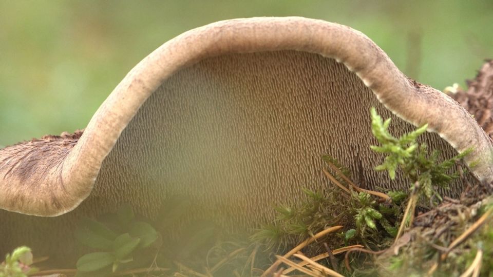 � ����� ������ ���������� �����, ������� ������