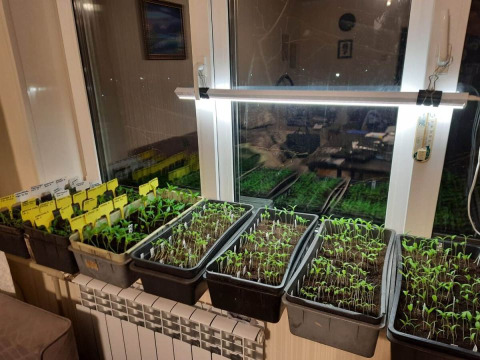 ��������� �������: ����� ��� ����� � ��� ����� ���������?