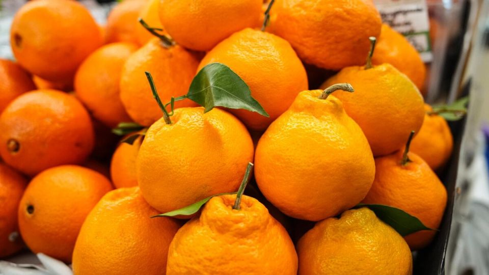 ��� ������� ��������� ���������: ������ ���������