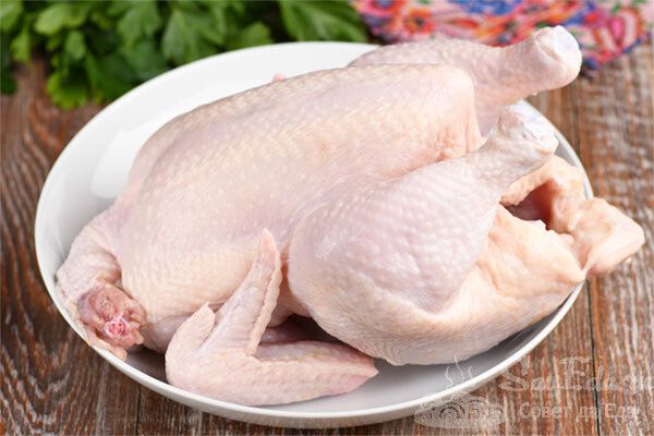 Невероятные куриные блюда, которые покорят ваши вкусовые рецепторы