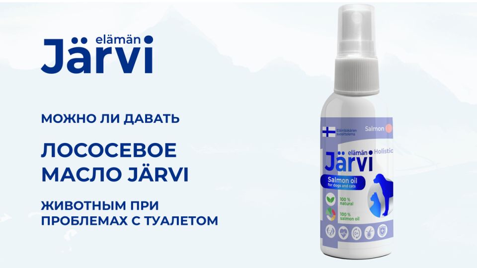 Лососевое масло Jarvi помогает коже и энергии питомца