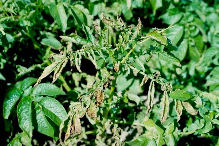 ������ ��������� ����� ��������� � ��� � ���� ������