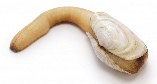 ������: ������ ������� � ��� ��������� ��� ������ �����