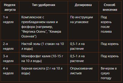 Патиссоны в августе: как сохранить урожай до поздней осени