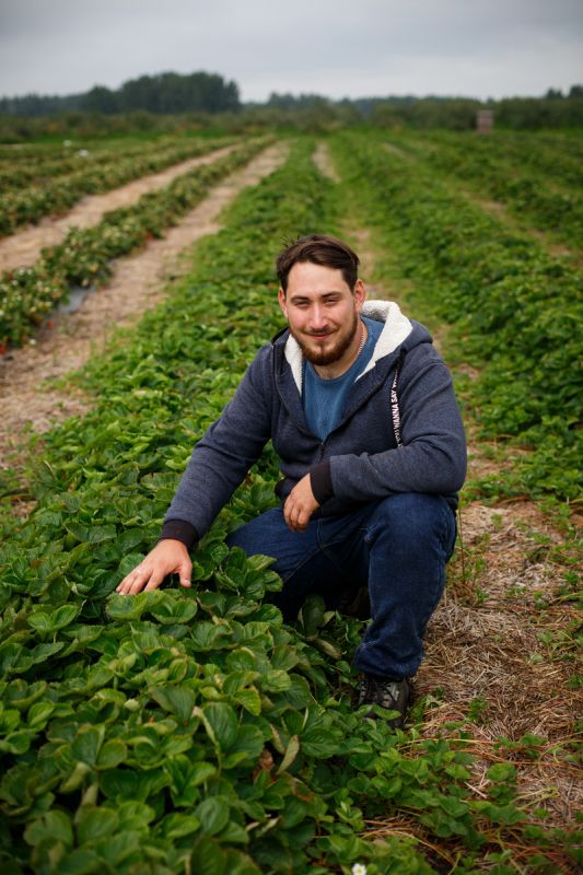 Невероятные секреты осенней обрезки гортензий: как избежать ошибок