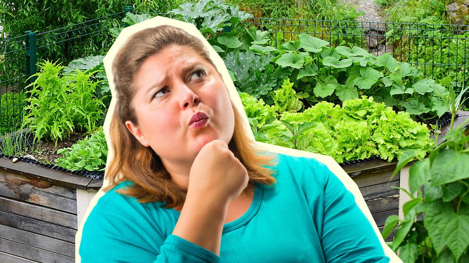 ������� �������� � ������� ��� ��������: ��������� � ���� � ���� �������