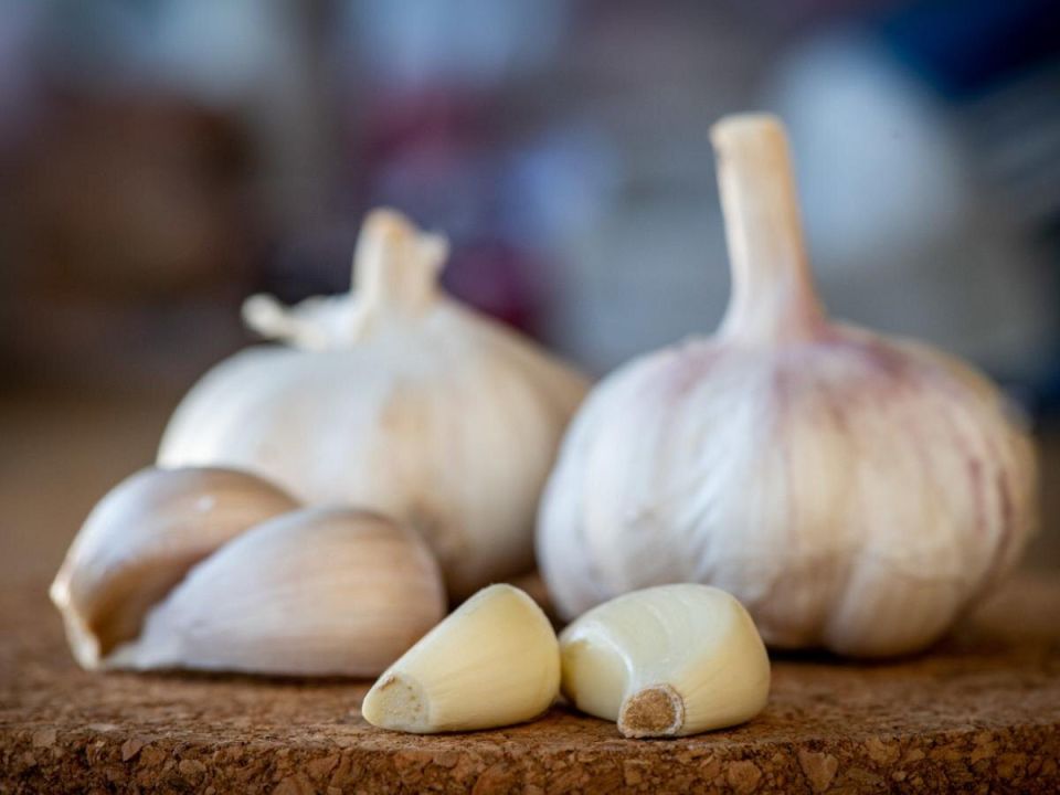 Как правильно посадить чеснок осенью для успешного урожая