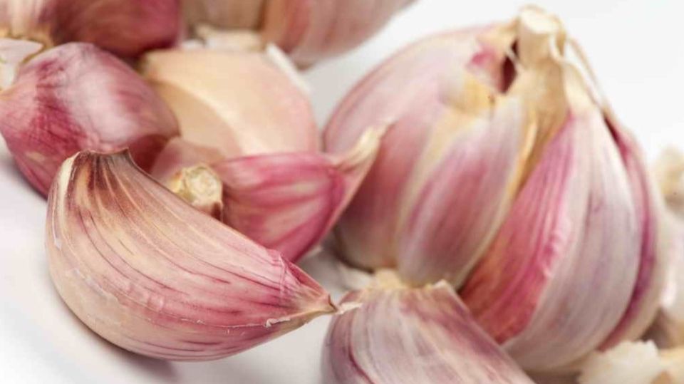 Как сохранить чеснок до апреля без холодильника: три ключевых условия для успеха