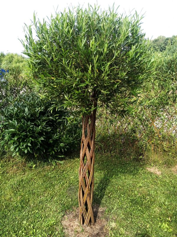 ����� ������������� �������� ������: ������� ��� ������ ���� ���?