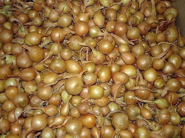 ��� ��������� �������� ��� ������ ��� ��������� ������� �������