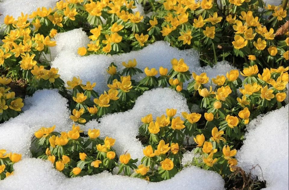 �������� ������ ��� ������: �������� � ������ ������� �����