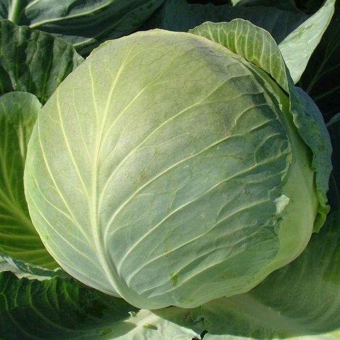 ����� ��������� ������ ������� ��� �������� � �����������