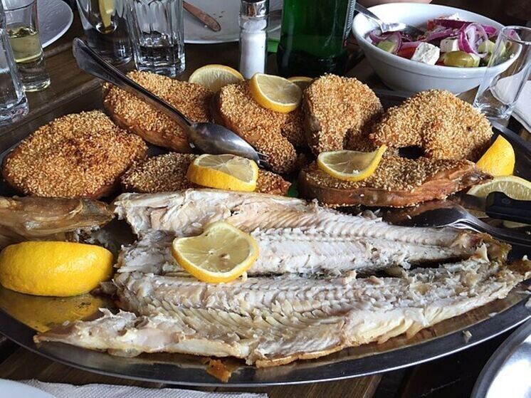 ������������� ���� �� 14 �������: ����� � ���������� ������ �����