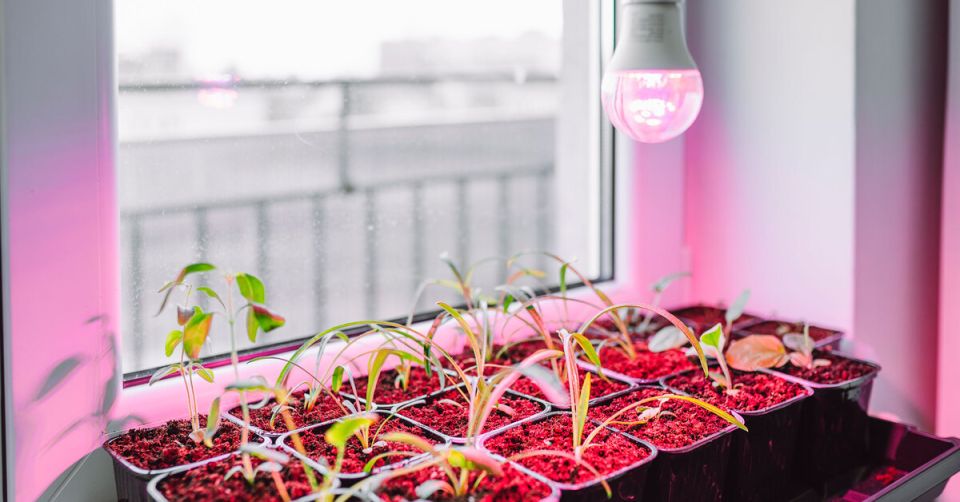 ������� �������� ������� ��������: ��� �������� �������������