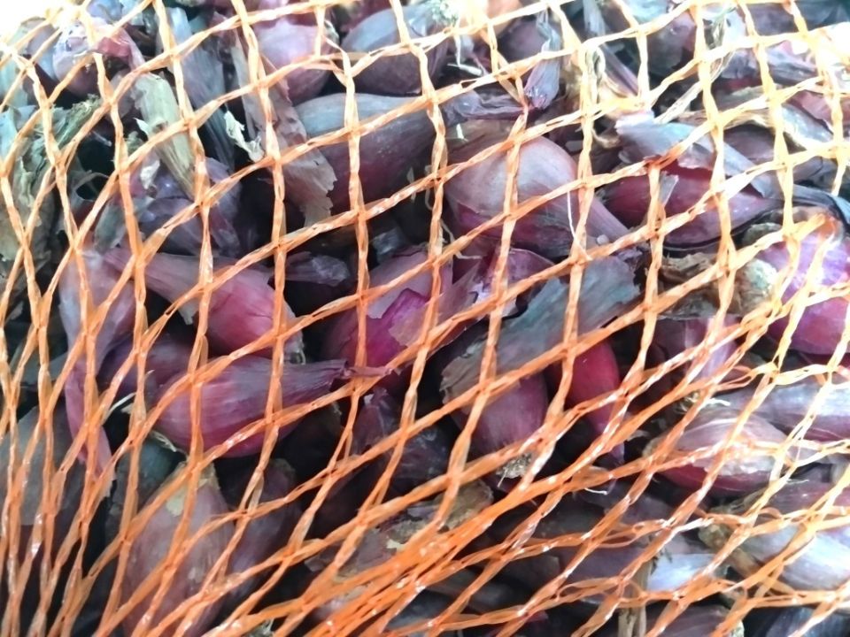 ��� ������: ������� ����� � �������� ����� �����