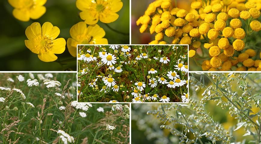 ��� ������ � ����� �������� �������� ��� ��� �� ����������