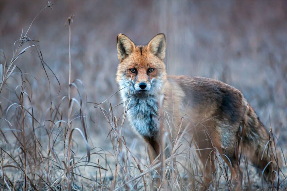 �������� �����������, ���� �� ������!