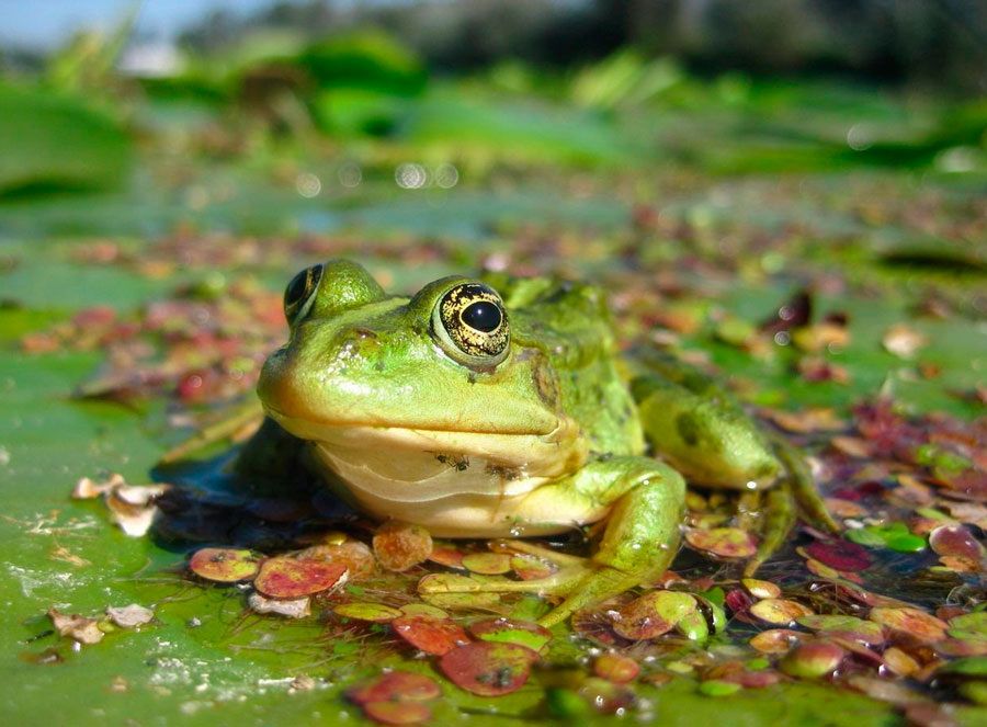 �������� ������ ����������, ��� ������� ����� ������ � ������ � �����