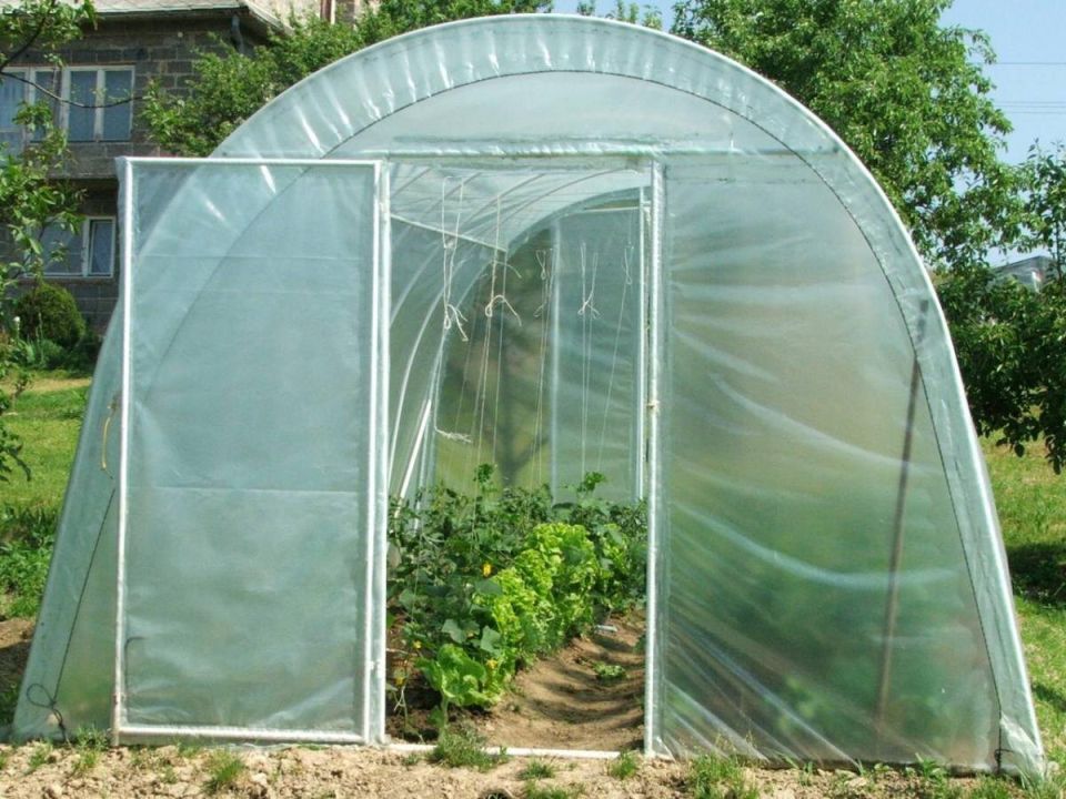 ��������� ������ �� ����: ��� �������� ������� �� �������� ������