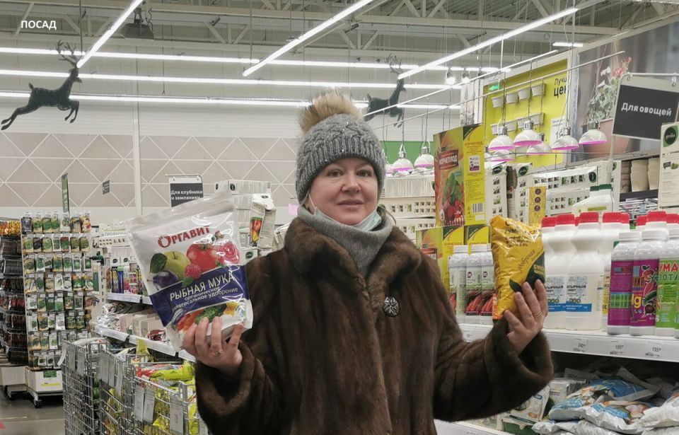 Суперфосфат или рыбная мука: что выбрать для роста томатов